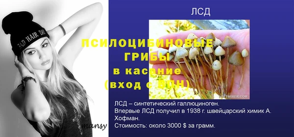прущая мука Богородицк