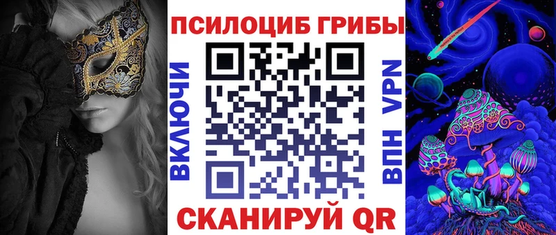 Купить где  Кремёнки  Галлюциногенные грибы мицелий 